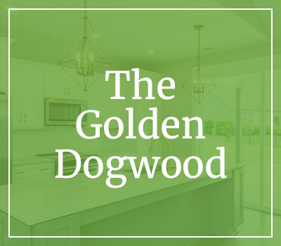 golden-dogwood