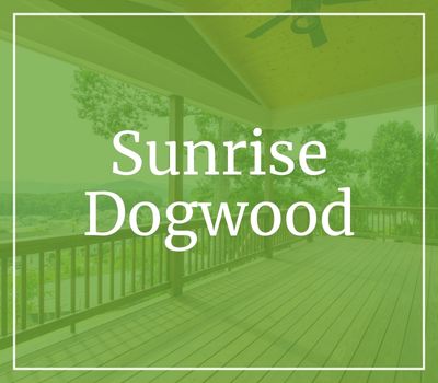 Vista Developers Gallery – Sunrise Dogwood porch tile